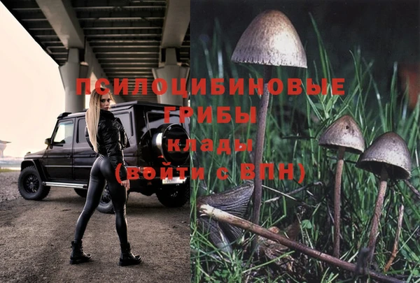 трава Алексин