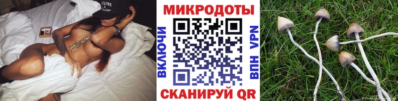 маркетплейс формула  Карачев  Галлюциногенные грибы Cubensis  где купить наркотик 